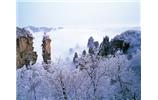 春節(jié)旅游：張家界、袁家界、天子山、寶峰湖/黃龍洞度假二晚三日游